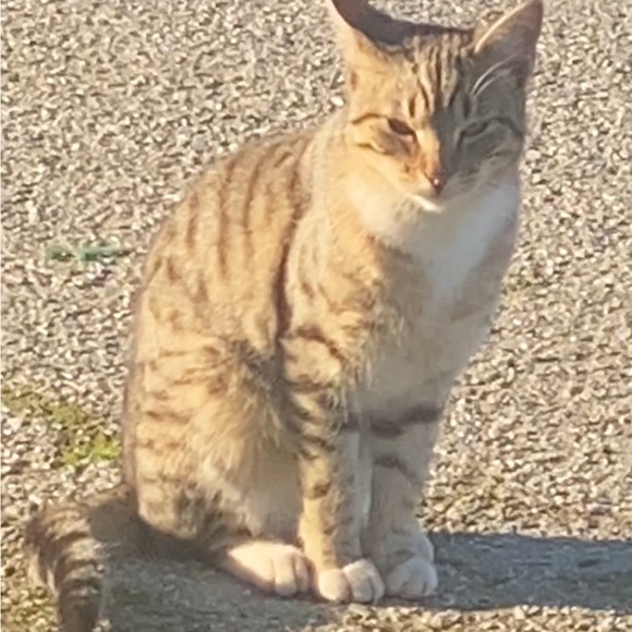 💕TRADE💕 - Picture 2 of 13